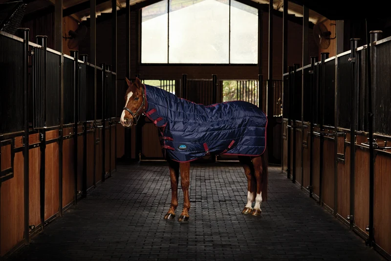 Weatherbeeta Stable Rug Combo 100g Navy/Burgundy / 72