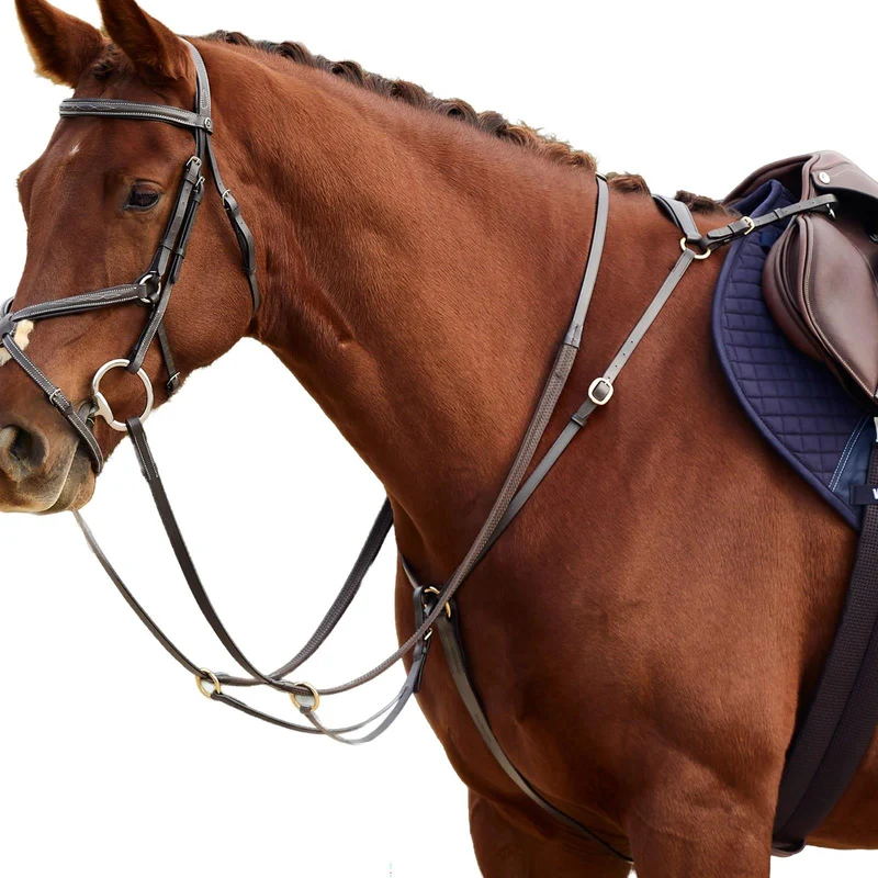 Dublin 3-Point Breastplate with Running Martingale Pony / Brown