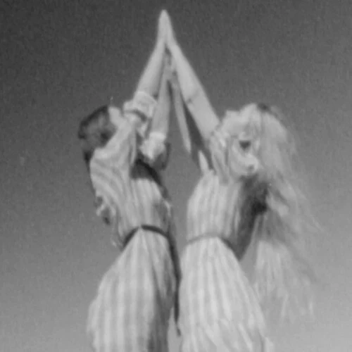 Purple Pilgrims - Perfumed Earth New / Vinyl / Perfumed Earth Flying Nun