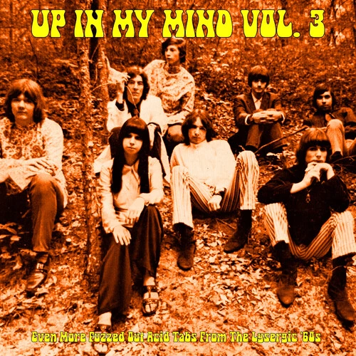 UP IN MY MIND VOL. 3: EVEN MORE FUZZED OUT ACID TABS FROM THE LYSERGIC '60S