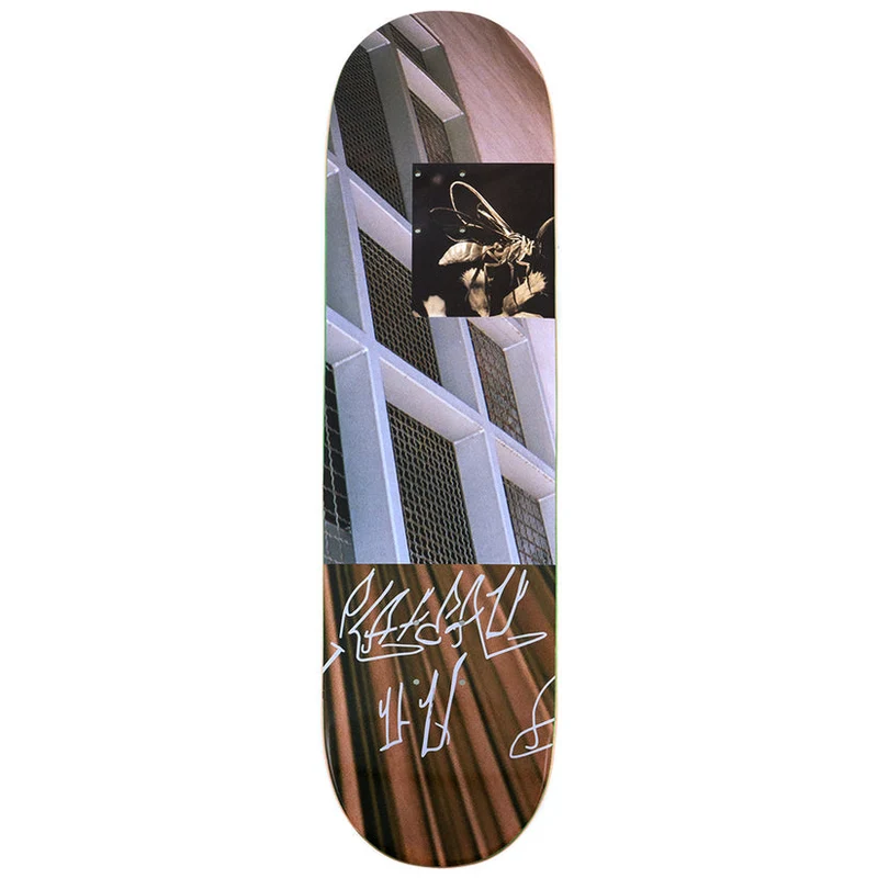 Plateau Wasp Moth Skateboard Deck 8.375