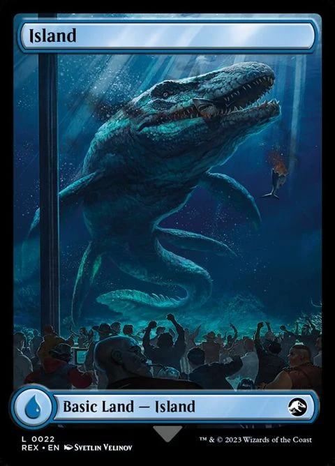 Island // Island (22) Non-Foil / Near Mint