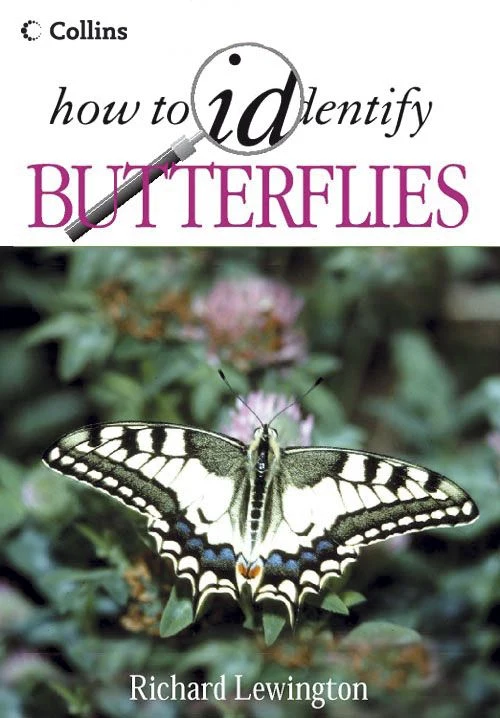 Butterflies (How to Identify) Paperback