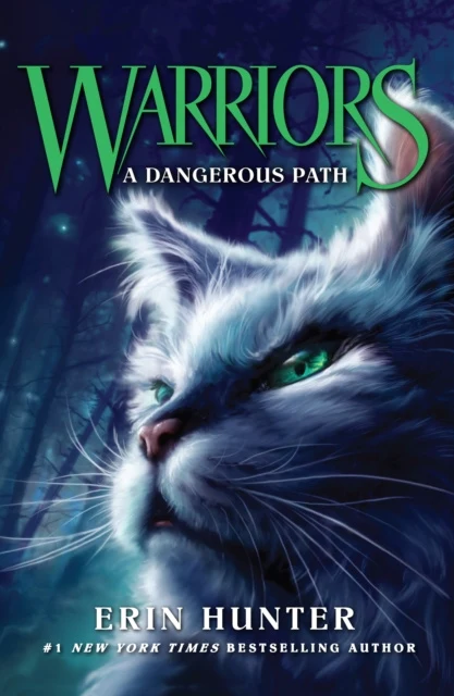 Dangerous Path, A