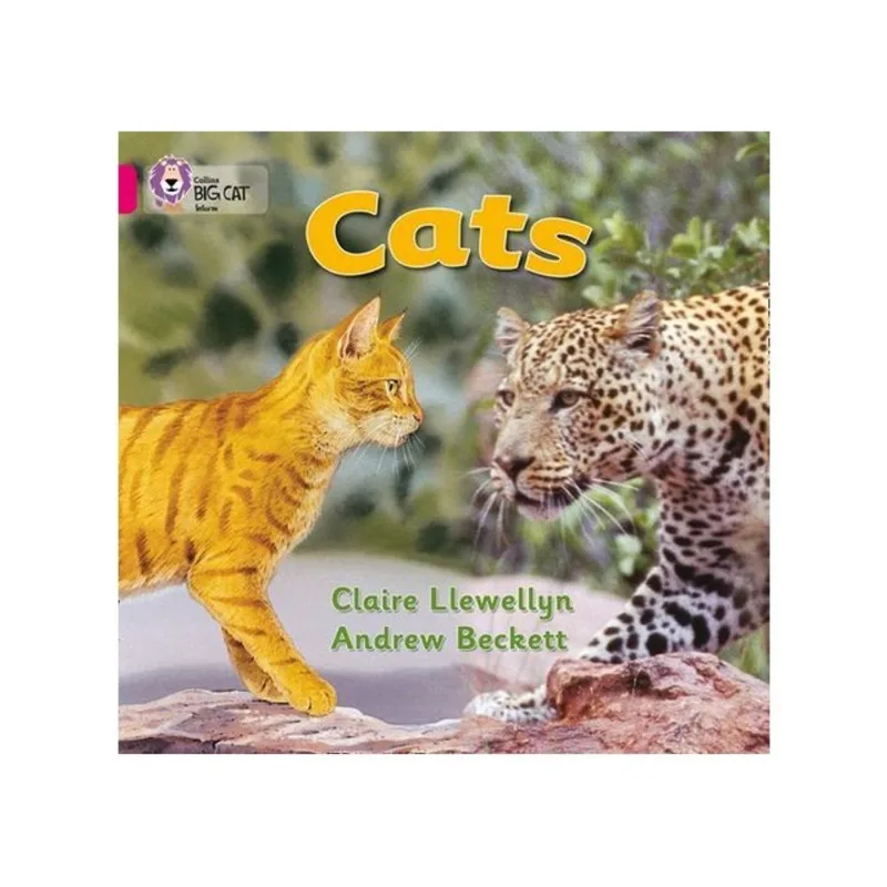 COLLINS BIG CAT - CATS