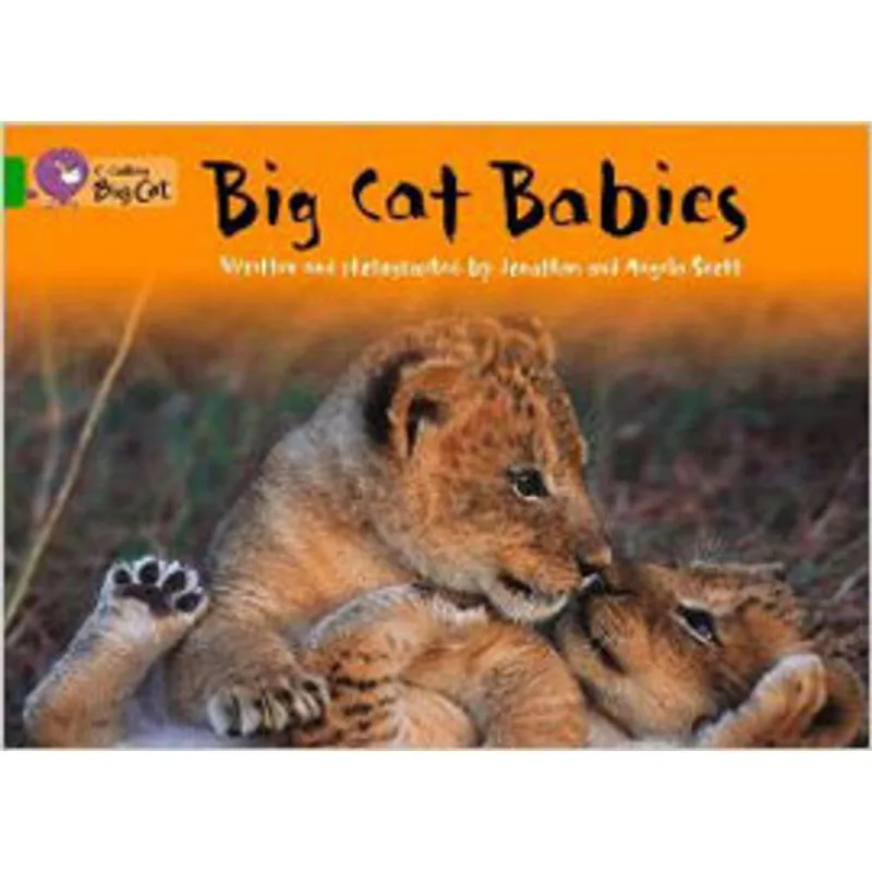 BABIES - BIG CAT