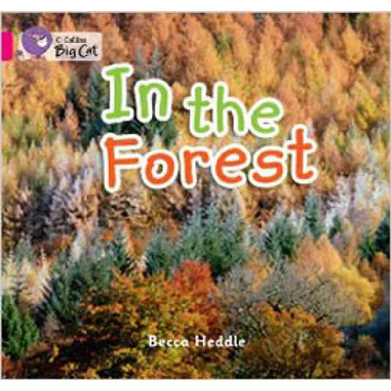 IN THE FOREST