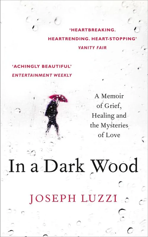 In a Dark Wood: What Dante Taught Me About Grief, Healing, and the Mysteries of Love Paperback