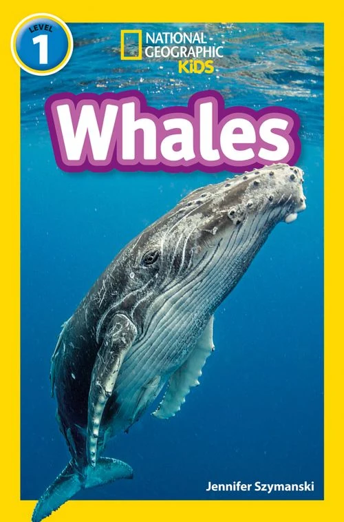 Whales: Level 1 (National Geographic Readers) Paperback