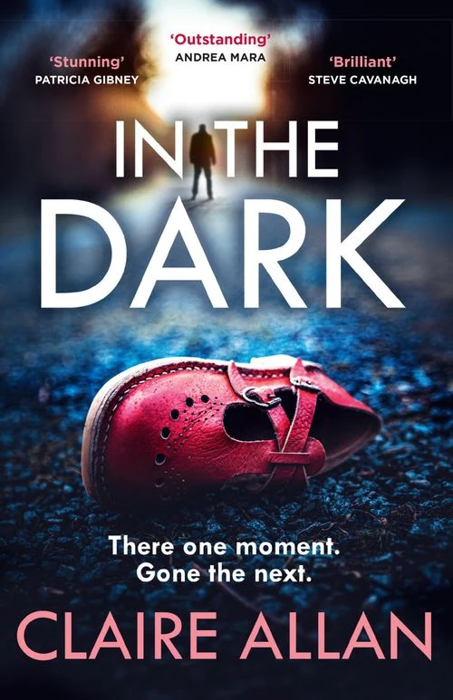 In The Dark Paperback