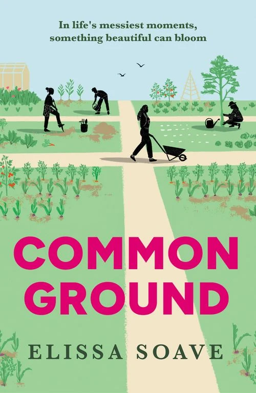 Common Ground ebook