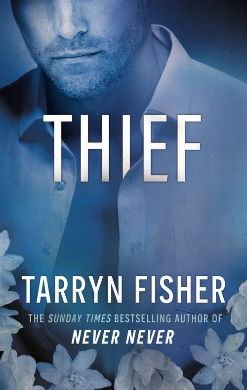 Thief (Love Me with Lies, Book 3) ebook