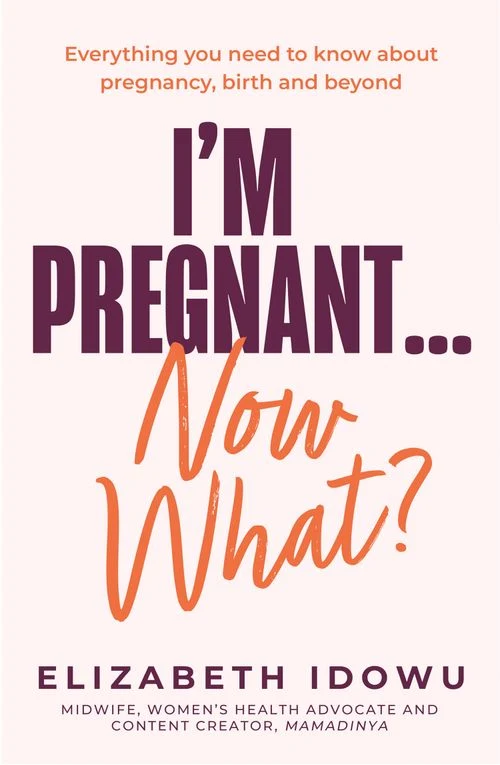 I’m Pregnant … Now What? Paperback