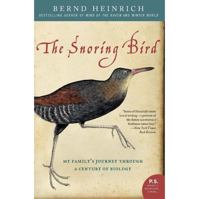 Snoring Bird, The