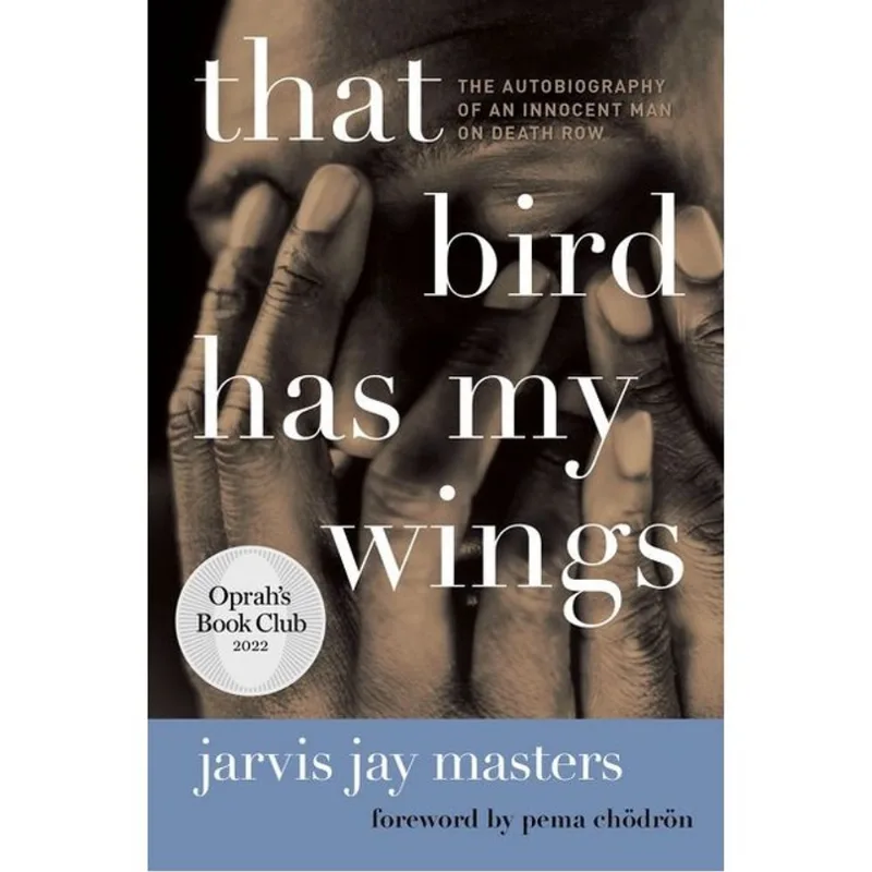 THAT BIRD HAS MY WINGS