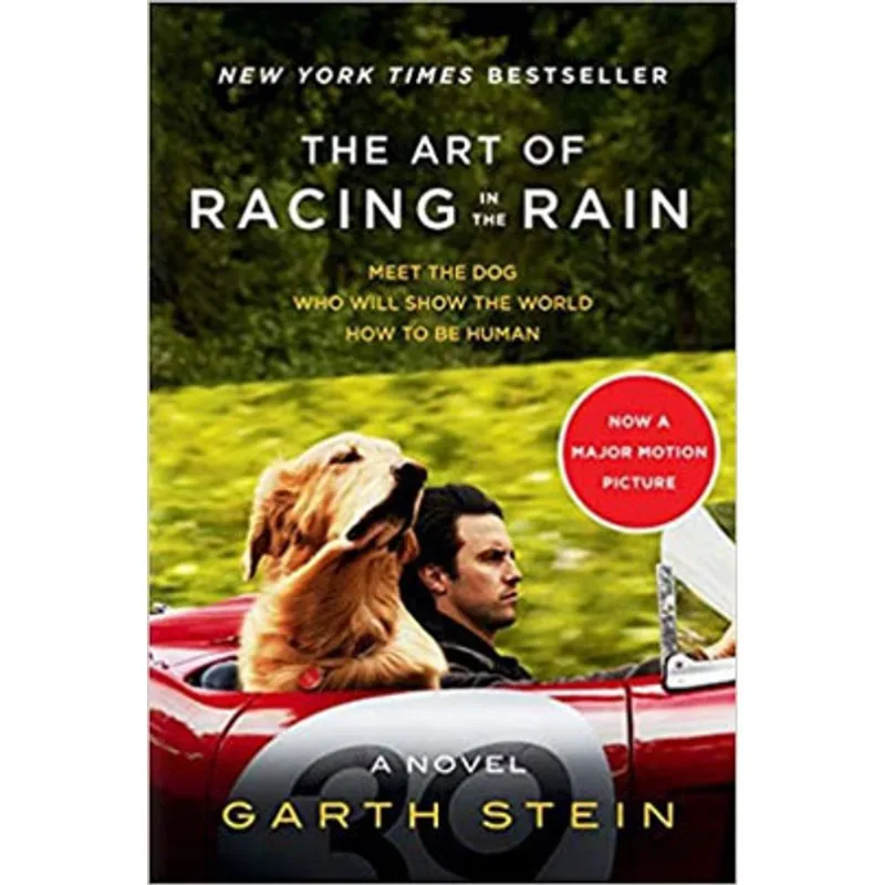 THE ART OF RACING IN THE RAIN