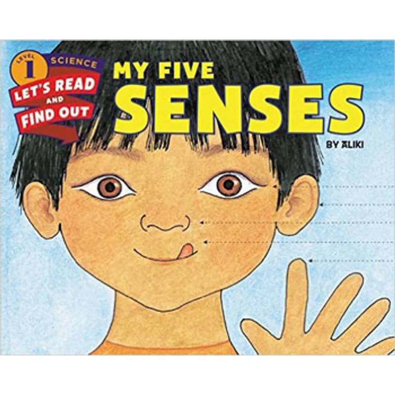 MY FIVE SENSES