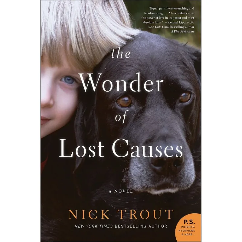 The Wonder of Lost Causes