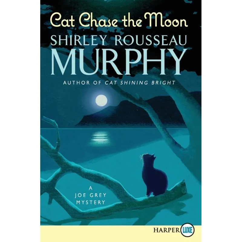 Cat Chase the Moon LP