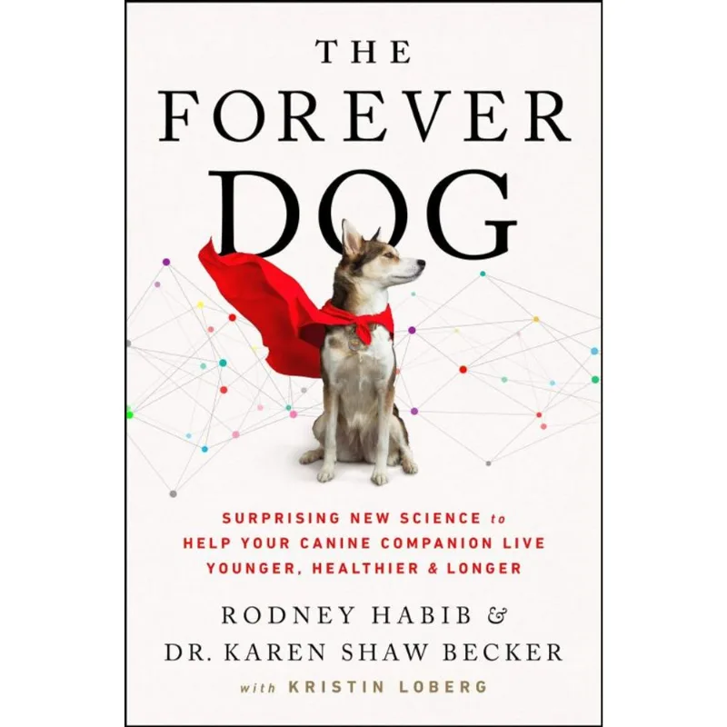 THE FOREVER DOG