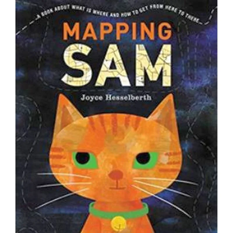 MAPPING SAM