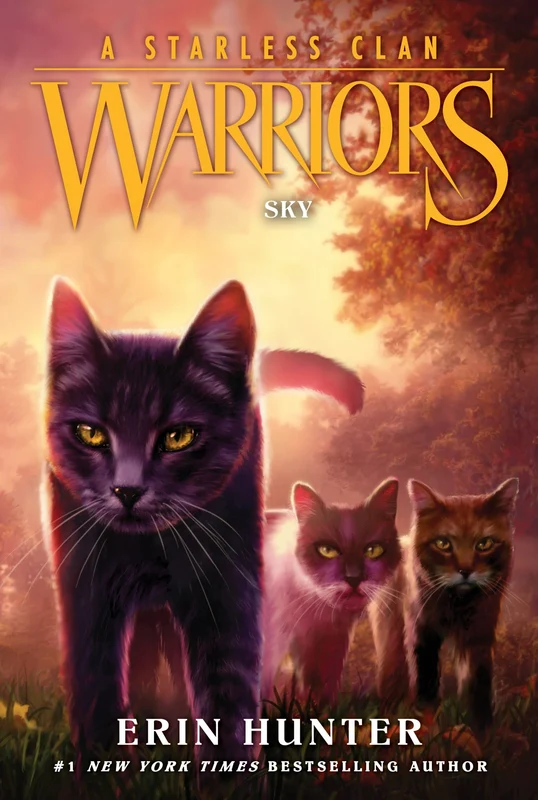 Warriors: A Starless Clan #2: Sky (Warriors: A Starless Clan 2) Paperback