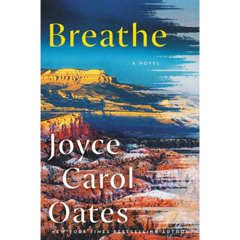 BREATHE - A NOVEL