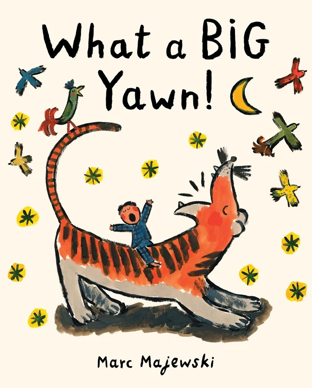 What a BIG Yawn! Hardback