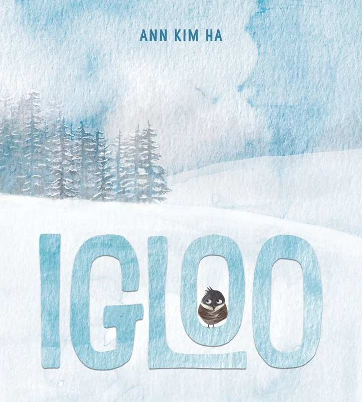 Igloo: A Home Built from Kindness and a Giant Snowball Hardback
