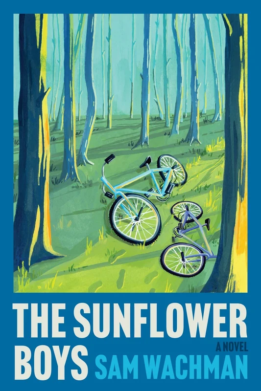 The Sunflower Boys: A Novel Hardback