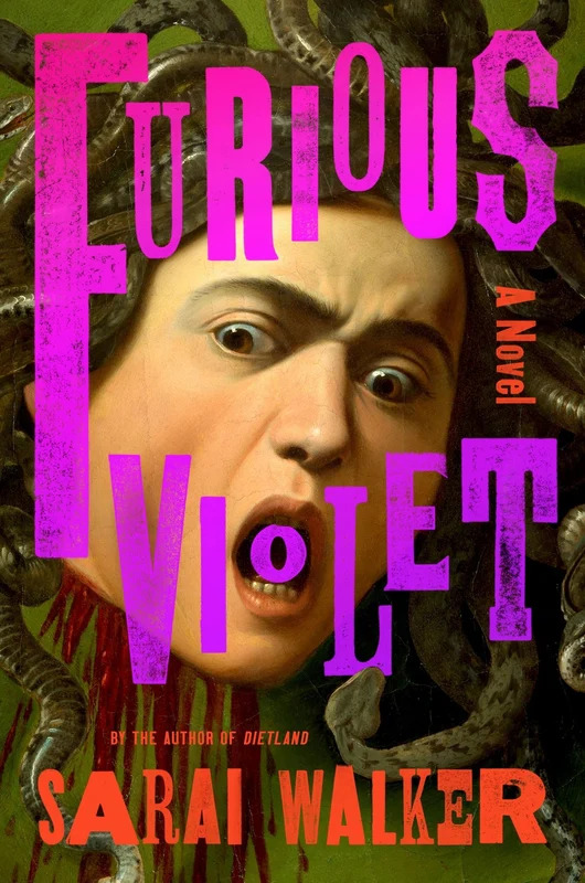 Furious Violet: A Novel Hardback