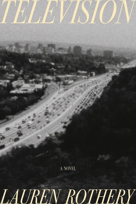 Television: A Novel Hardback