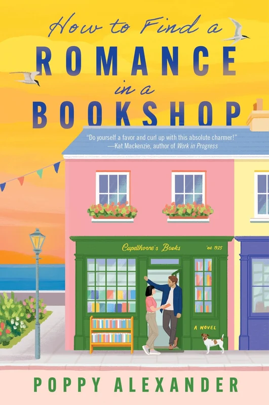 How to Find a Romance in a Bookshop: A Novel Paperback