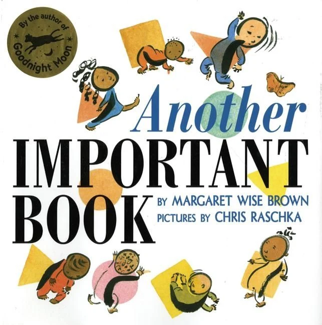 Another Important Book Paperback
