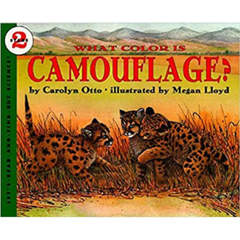 WHAT COLOR IS CAMOUFLAGE
