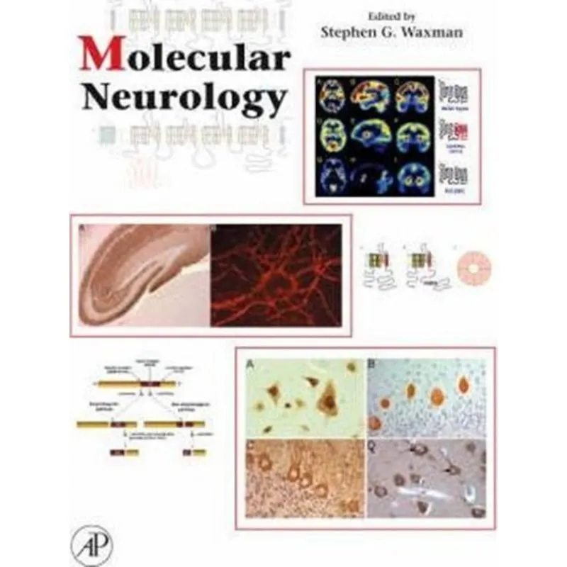 Molecular Neurology