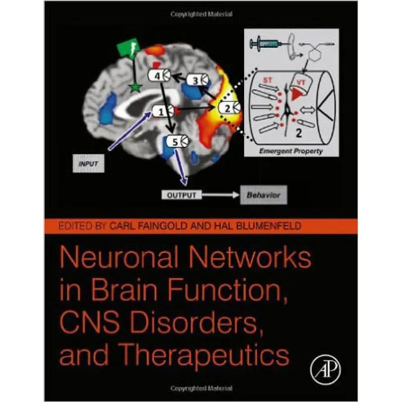 NEURONAL NETWORKS IN BRAIN FUNCTION
