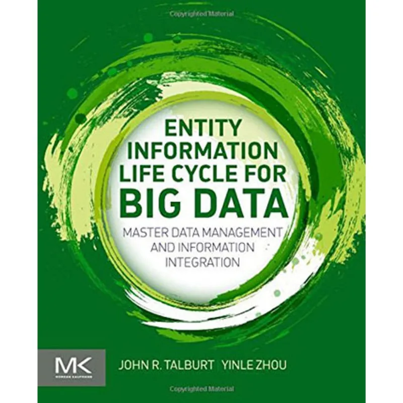 ENTITY INFORMATION LIFE CYCLE FOR BIG DATA