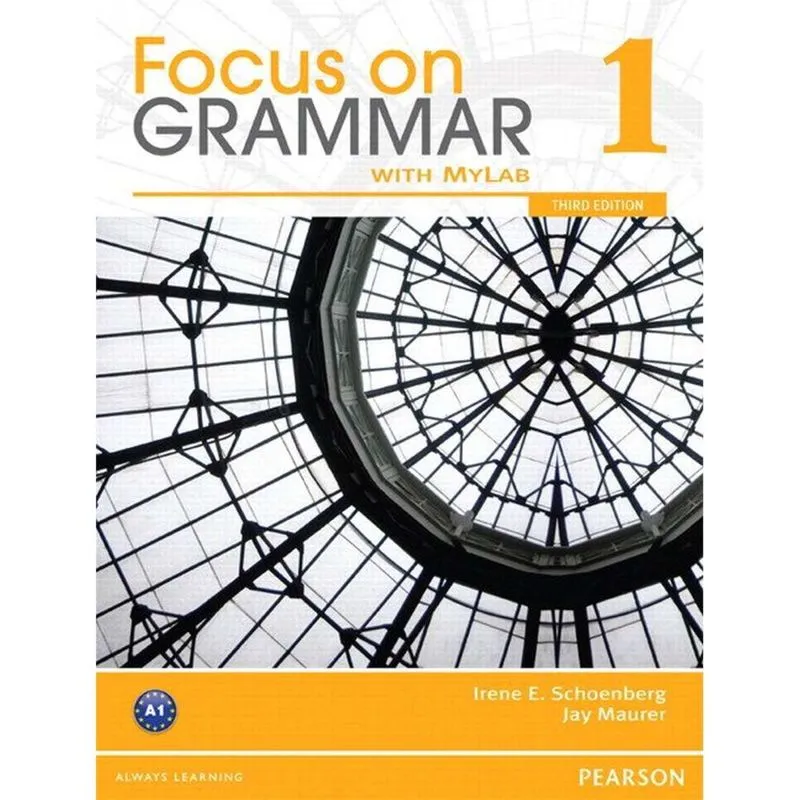 Focus on grammar 1