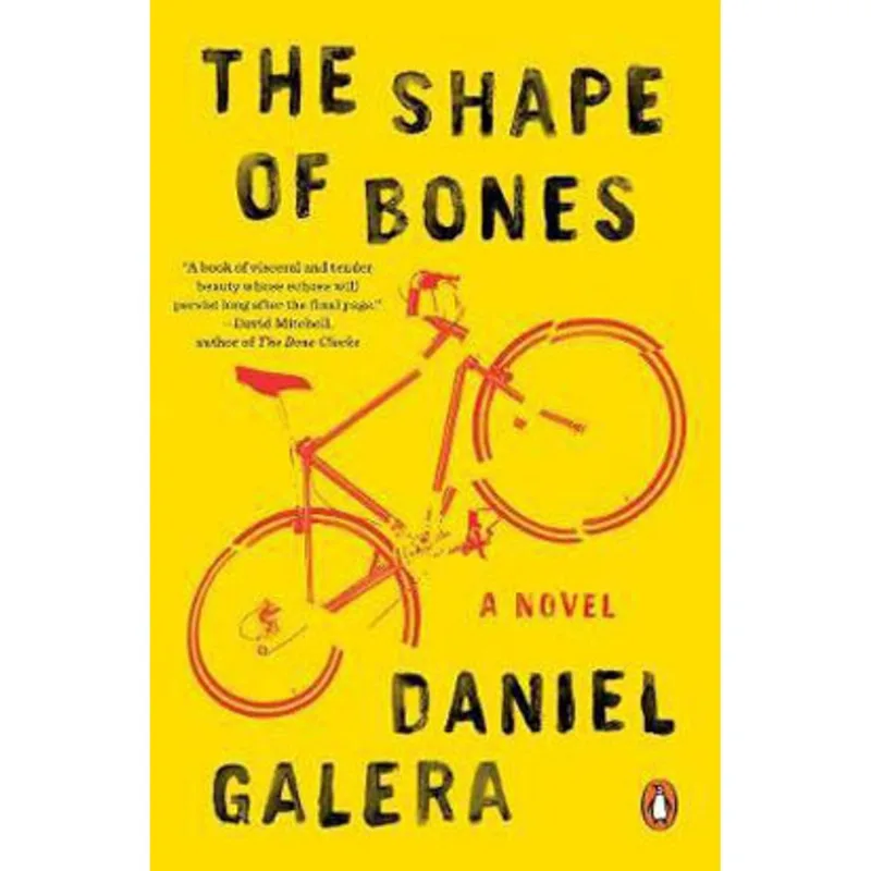 THE SHAPE OF BONES