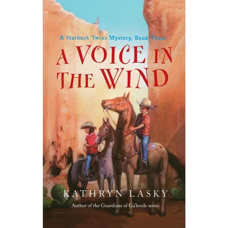 Livro A Voice in the Wind