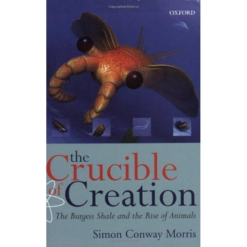 The Crucible of Creation