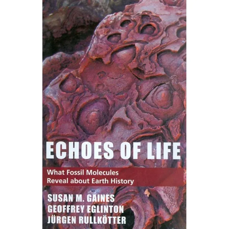 ECHOES OF LIFE