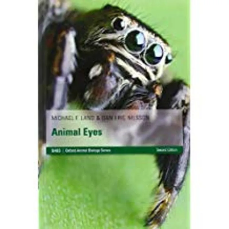 Animal Eyes