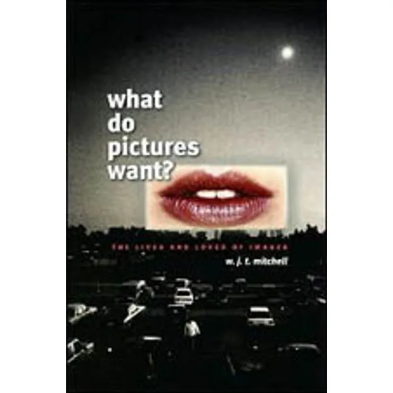 WHAT DO PICTURES WANT ?