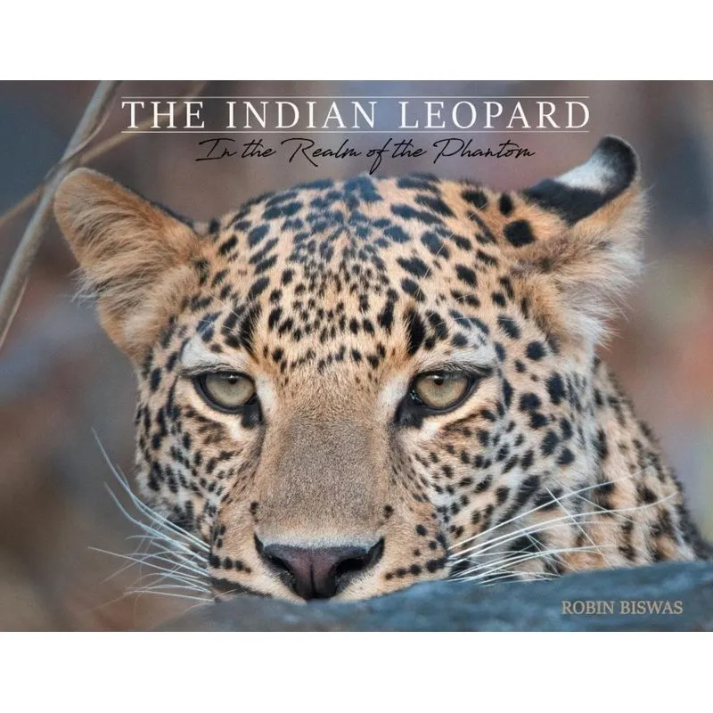 The Indian Leopard