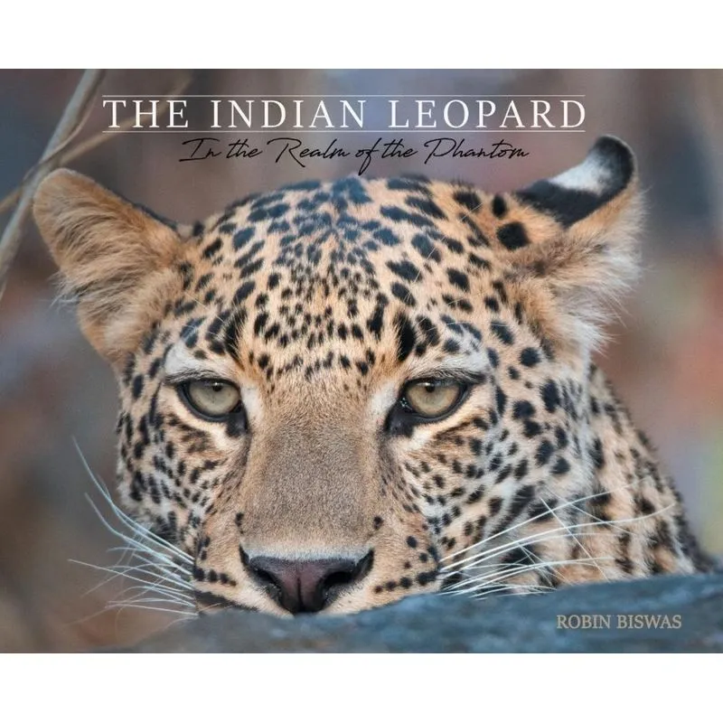 The Indian Leopard
