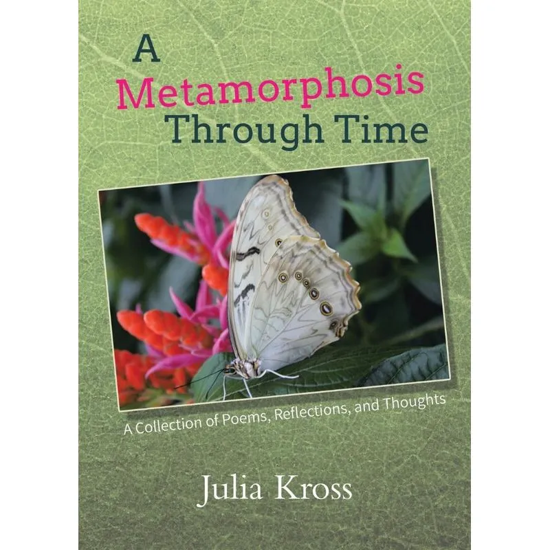 A Metamorphosis Through Time