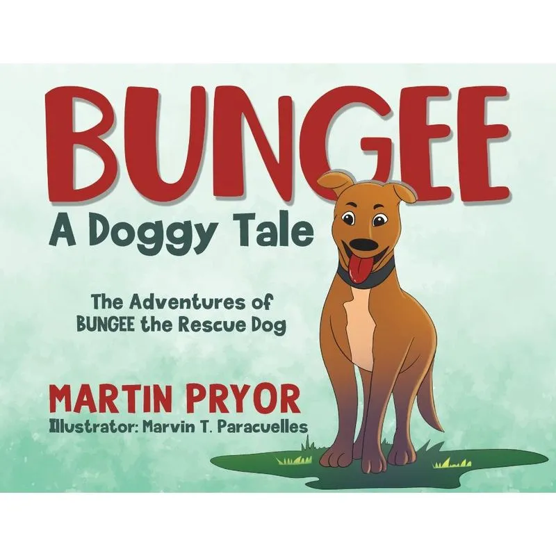Bungee