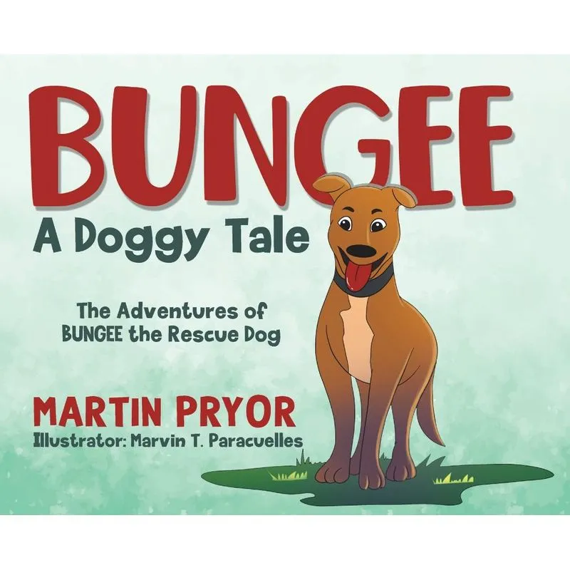 Bungee